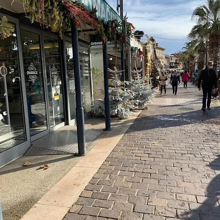 Avec Coin Nuit Sainte-Maxime