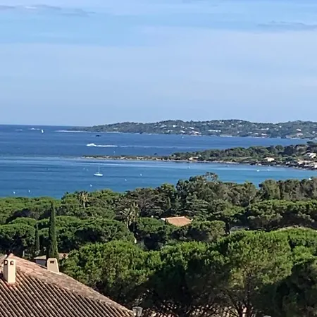 Avec Coin Nuit Sainte-Maxime