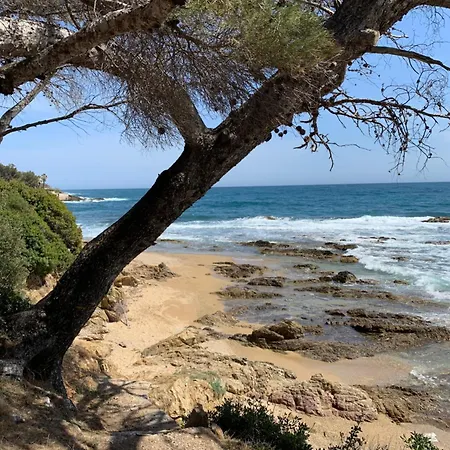 Avec Coin Nuit * Sainte-Maxime